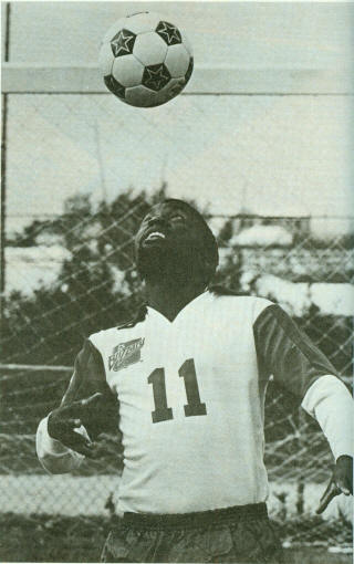 Blizzard 81 Home Jomo Sono center num