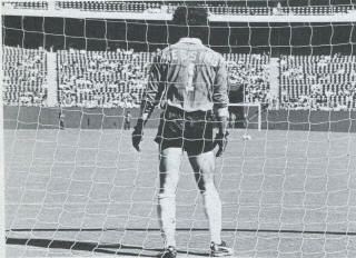 NASL Soccer New York Cosmos 77 Goalie Back Shep Messing