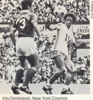 NASL Soccer New York Cosmos 77 Road Vito Dimitrijevic