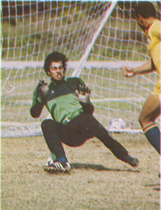 Cosmos 81 Goalie Dino Alberti