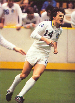 NASL Soccer New York Cosmos 83-84 Indoor Home Stan Terlecki 3