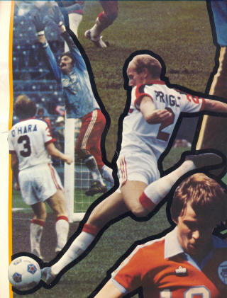 Washington Diplomats 1978 Home Back Alex Pringle.jpg