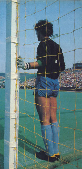 NASL Soccer Boston Minutemen 75 Goalie Back Shep Messing.jpg