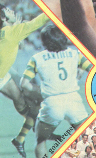 NASL Soccer Tampa Bay Rowdies 76 Home Back Ringo Cantillo