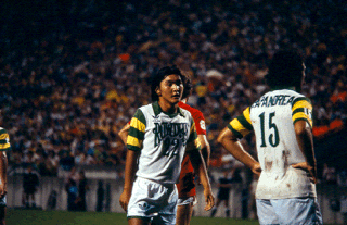 NASL Soccer Tampa Bay Rowdies 78 Home Ivanchukov, Papandrea