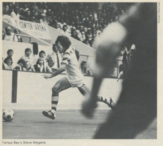 Rowdies 80-81 Indoor Home Back Steve Wegerle.jpg