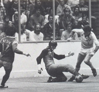 Sockers 82-83 Home Back Steve Nesin, Alan Mayer