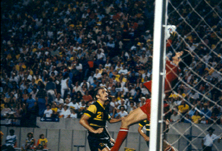 NASL Soccer Chicago Sting 78 Road Stefan Szefer.gif