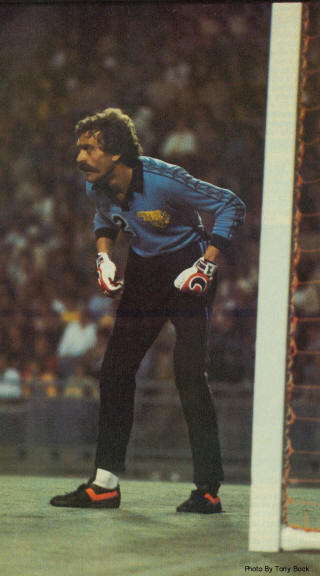 NASL Soccer Chicago Sting 81 Goalie Dieter Ferner, Soccer Bowl