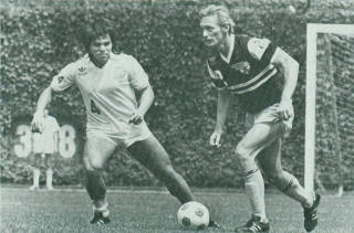 NASL Soccer Chicago Sting 1982 Road Hanne Weiner, Tea Men