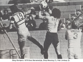 NASL Soccer Oakland Stompers 78 Goalie Back Shep Messing